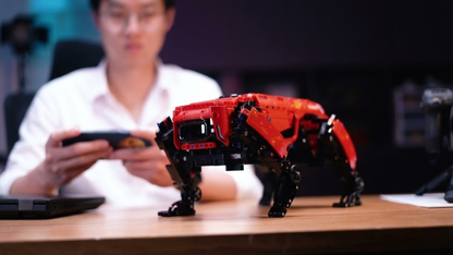 RED Boston Robot Dog (921 stuks) 