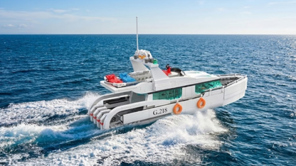 Iaht White Dolphin (857 piese) 