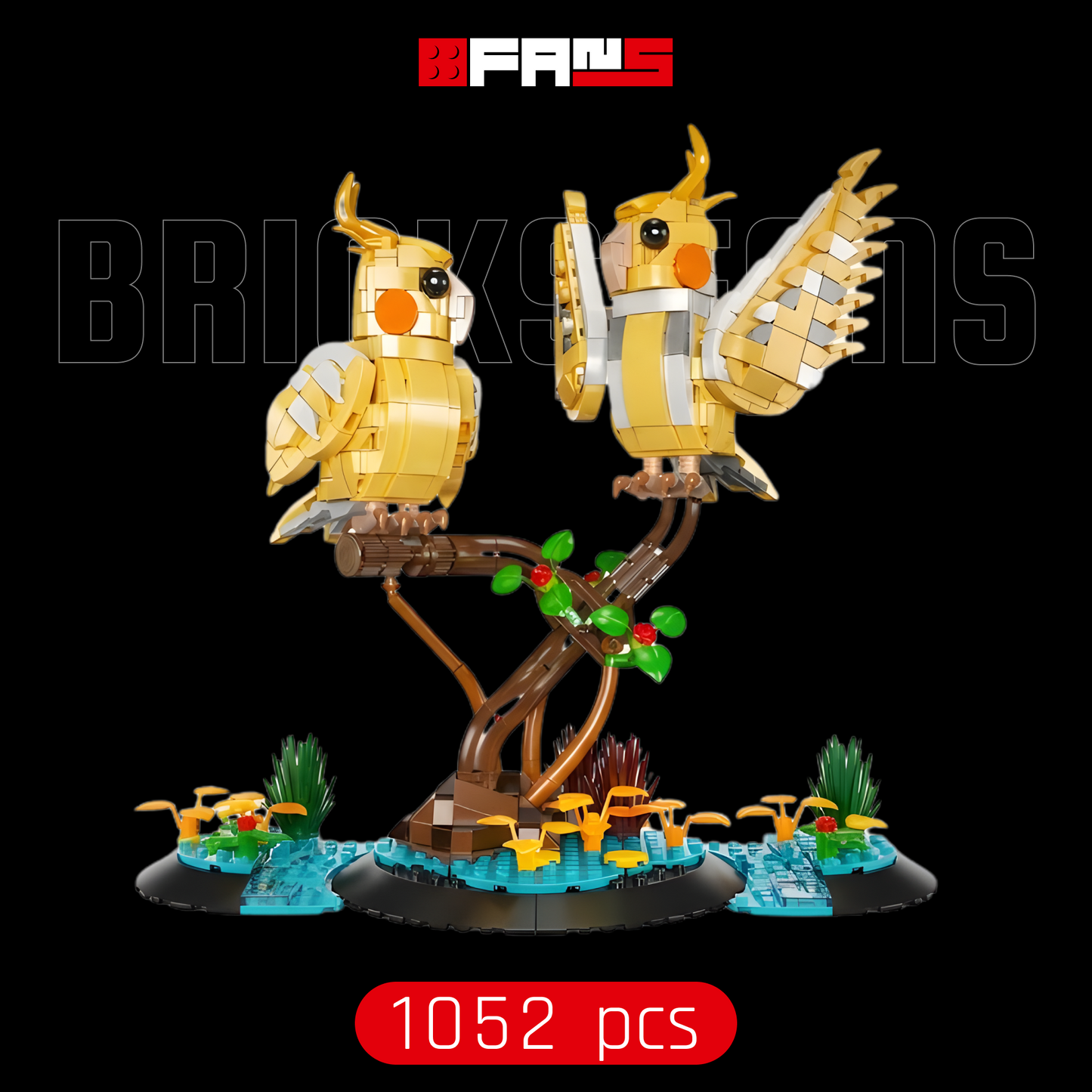 Black-Capped Lory (1052 pcs)