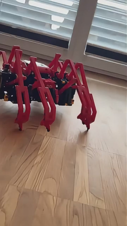Moving Spider (818 pcs)
