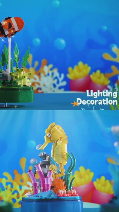 Jellyfish Music Box (405 pcs)
